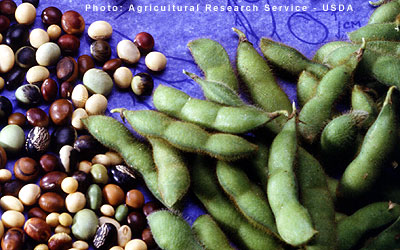 Soybeans