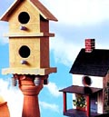 Birdhouse Book