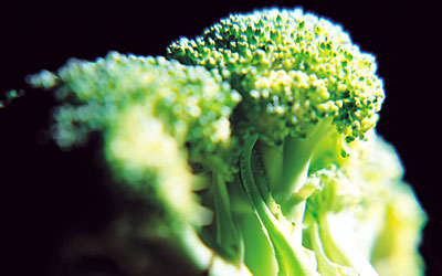 Broccoli