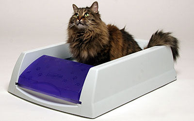 multi cat automatic litter box