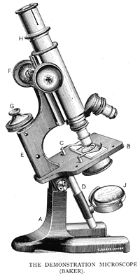 Light Microscope Diagram Diagram  Quizlet