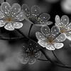 Boilerplate Blossom 3