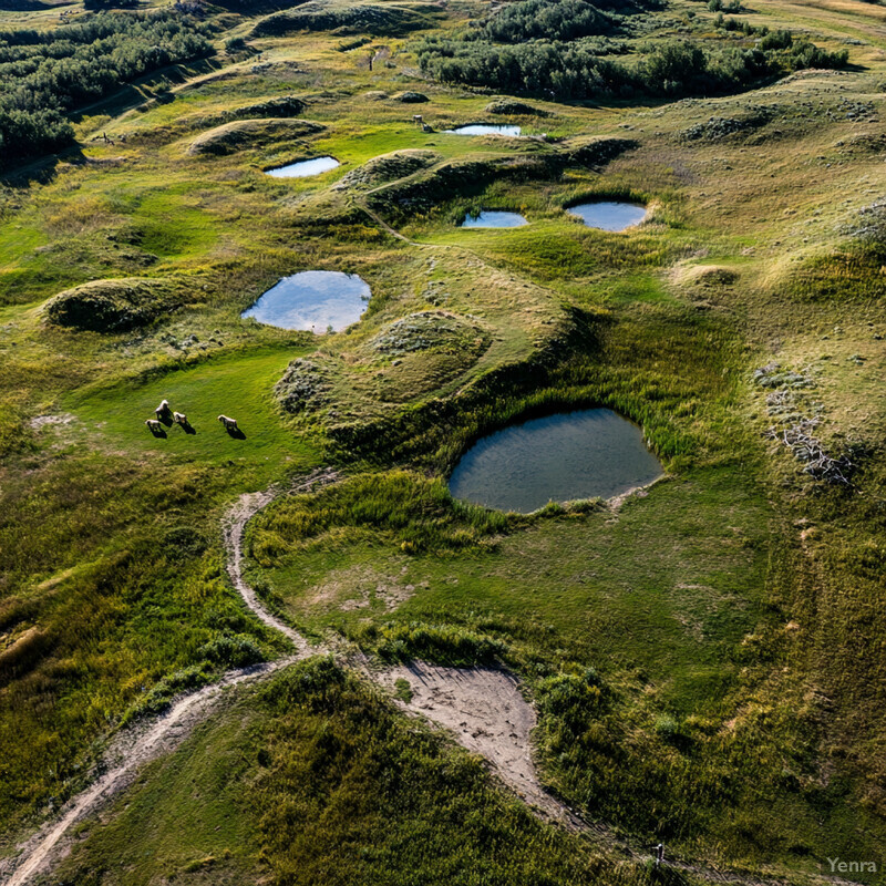 A serene landscape of rolling hills and grasslands with scattered trees in the background.