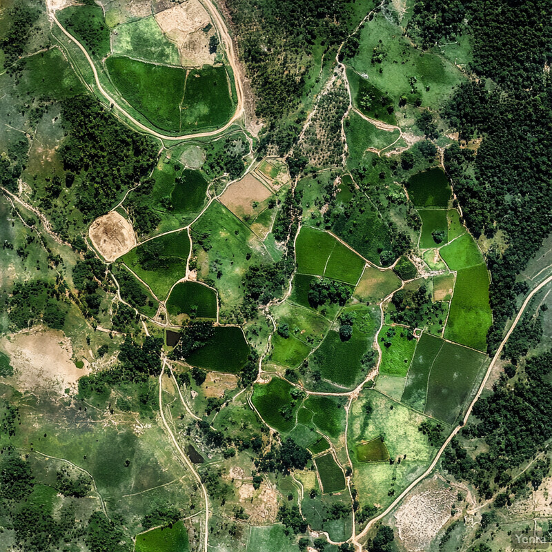 Rural landscape with cultivated fields and natural areas