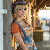 Country Twilight 0