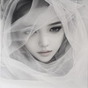 Veiled Elegance 3