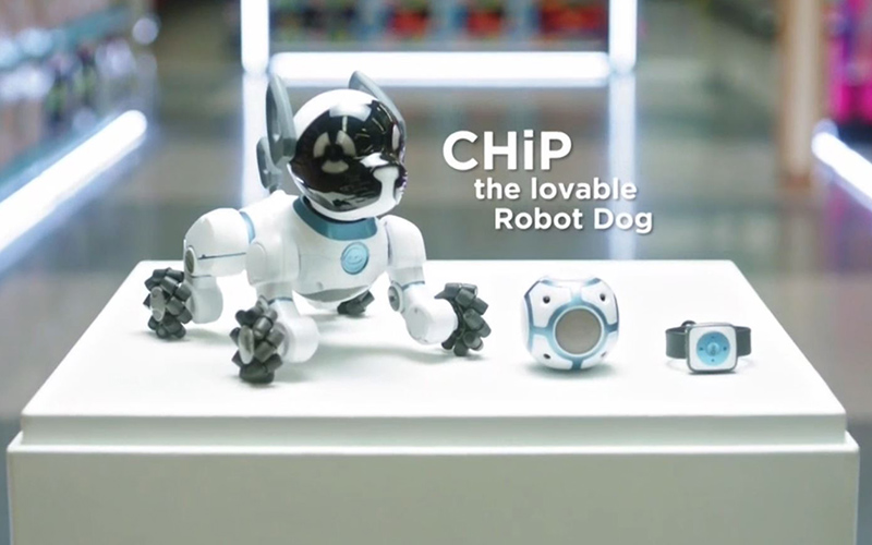 chip the lovable robot dog