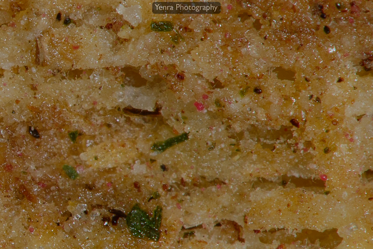 Macro photograph of a Cranberry Sage Triscuit