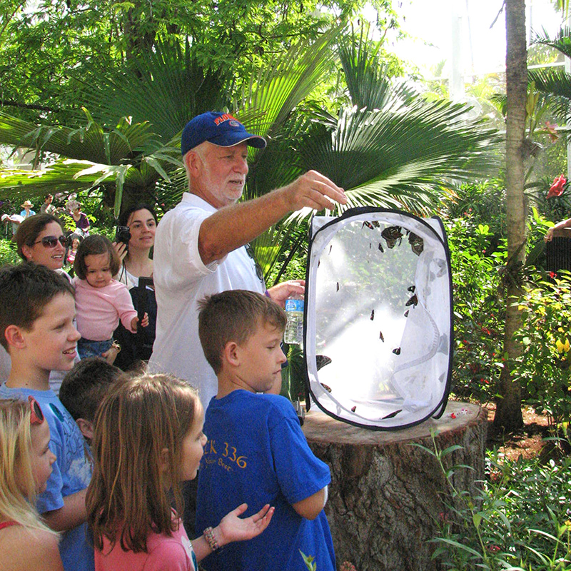 fairchild tropical botanic garden new year's eve