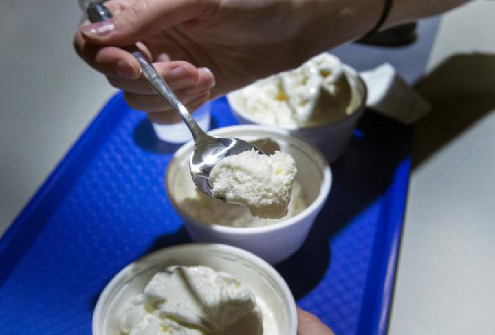 Ice Cream Taste Test