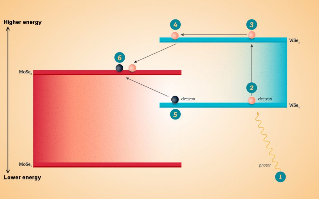Quantum Photodetector Yenra