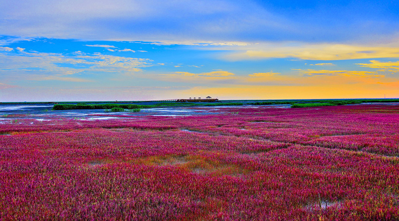 Best Season to Visit Red Beach China