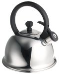 Stainless Steel Tea Kettle