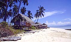 Survivor Island - Pulau Tiga - photo by CBS