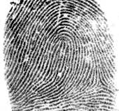 Left Loop Fingerprint Type