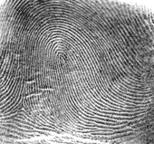 Right Loop Fingerprint Type
